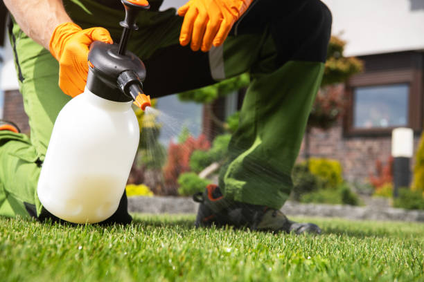 Best Residential Pest Control  in Avondale, PA