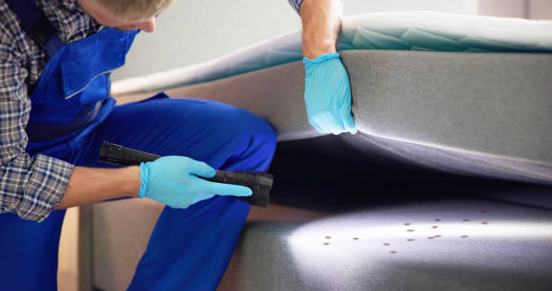 Best Local Pest Control Services  in Avondale, PA